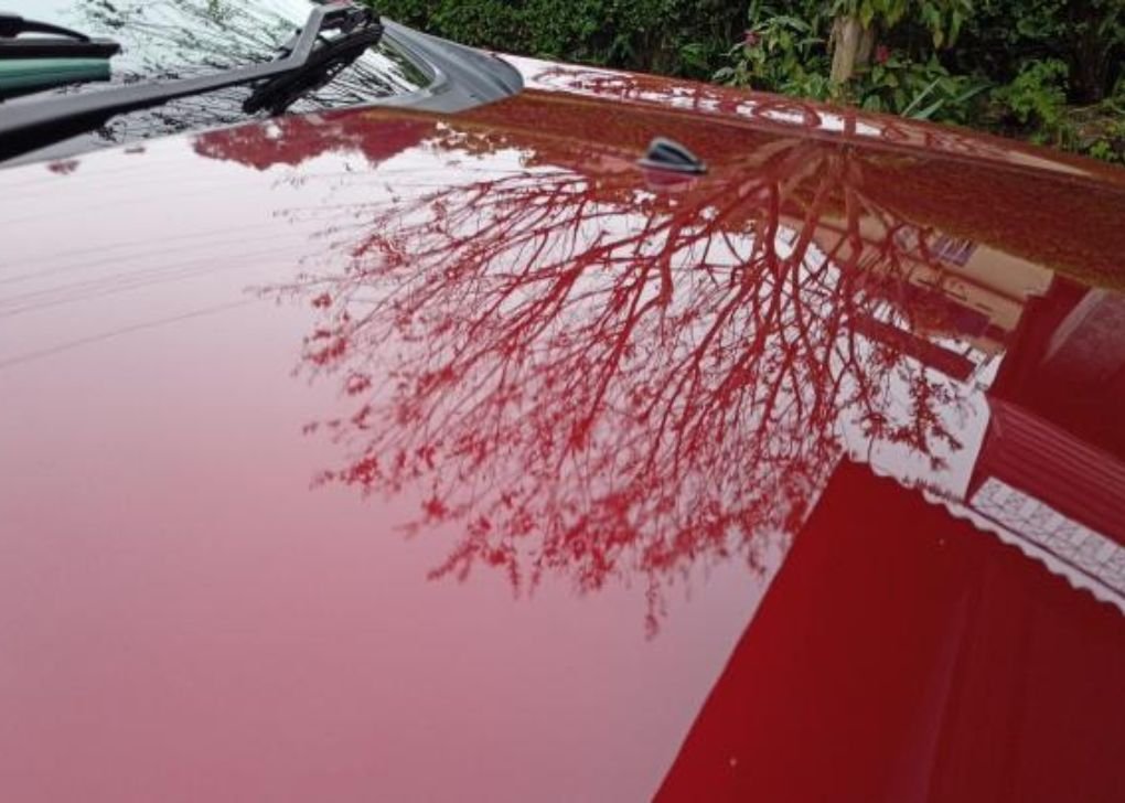 Automotive Paint Defects